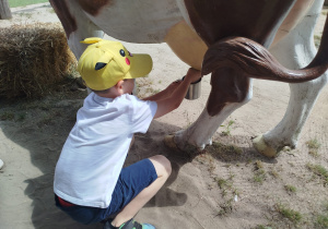 Przygoda na Dziki Zachodzie – Westernland gr. XII