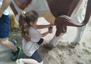 Przygoda na Dziki Zachodzie – Westernland gr. XII