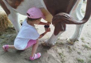 Przygoda na Dziki Zachodzie – Westernland gr. XII