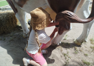 Przygoda na Dziki Zachodzie – Westernland gr. XII