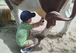 Przygoda na Dziki Zachodzie – Westernland gr. XII