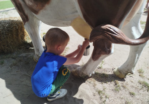Przygoda na Dziki Zachodzie – Westernland gr. XII