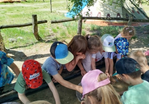 Przygoda na Dziki Zachodzie – Westernland gr. XII