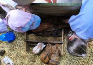 Przygoda na Dziki Zachodzie – Westernland gr. XII