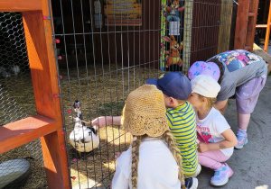 Przygoda na Dziki Zachodzie – Westernland gr. XII