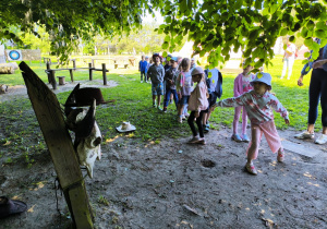 Przygoda na Dziki Zachodzie – Westernland gr. XII