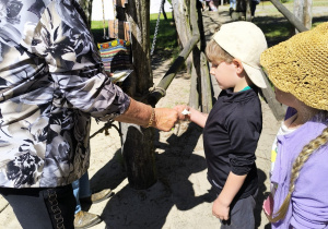 Przygoda na Dziki Zachodzie – Westernland gr. XII