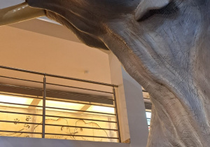 Wycieczka maluszków z grupy IX do Muzeum Okręgowego w Koninie