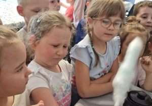 „Papuzia przygoda przedszkolaków” - radosne świętowanie Dnia Dziecka grupy X