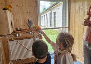 „Papuzia przygoda przedszkolaków” - radosne świętowanie Dnia Dziecka grupy X