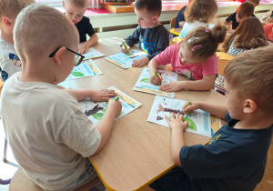 Grupa II i MISJA LAS!- Ogólnopolski Program Edukacyjny „Kubusiowi Przyjaciele Natury”