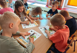 Grupa II i MISJA LAS!- Ogólnopolski Program Edukacyjny „Kubusiowi Przyjaciele Natury”