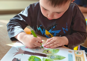 Grupa II i MISJA LAS!- Ogólnopolski Program Edukacyjny „Kubusiowi Przyjaciele Natury”