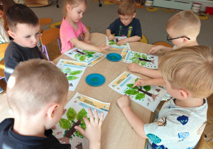 Grupa II i MISJA LAS!- Ogólnopolski Program Edukacyjny „Kubusiowi Przyjaciele Natury”