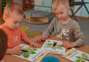 Grupa II i MISJA LAS!- Ogólnopolski Program Edukacyjny „Kubusiowi Przyjaciele Natury”