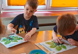 Grupa II i MISJA LAS!- Ogólnopolski Program Edukacyjny „Kubusiowi Przyjaciele Natury”