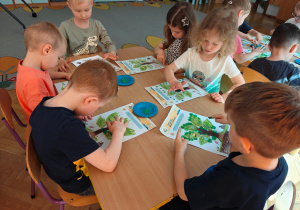 Grupa II i MISJA LAS!- Ogólnopolski Program Edukacyjny „Kubusiowi Przyjaciele Natury”