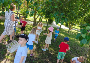 Grupa II i MISJA LAS!- Ogólnopolski Program Edukacyjny „Kubusiowi Przyjaciele Natury”