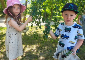 Grupa II i MISJA LAS!- Ogólnopolski Program Edukacyjny „Kubusiowi Przyjaciele Natury”