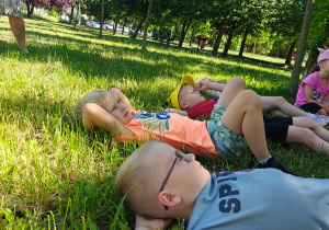 Grupa II i MISJA LAS!- Ogólnopolski Program Edukacyjny „Kubusiowi Przyjaciele Natury”