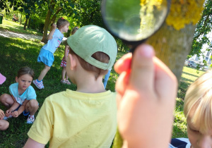 Grupa II i MISJA LAS!- Ogólnopolski Program Edukacyjny „Kubusiowi Przyjaciele Natury”