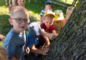 Grupa II i MISJA LAS!- Ogólnopolski Program Edukacyjny „Kubusiowi Przyjaciele Natury”