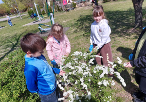 Innowacja pedagogiczna - grupa V