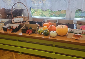 Pędzel w ruch